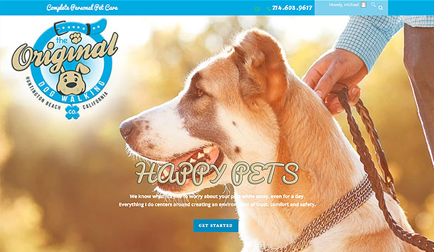 The Original Dog Walking website